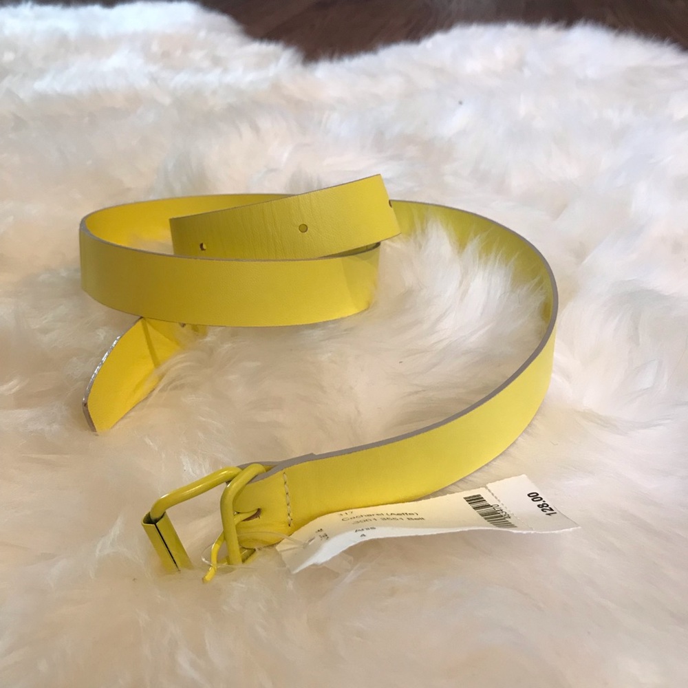 Cacharel belt NWT